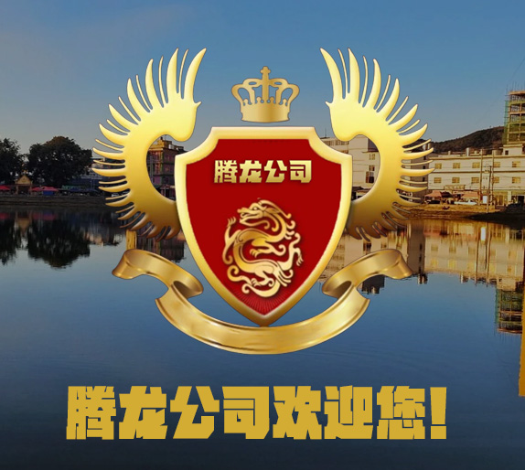 游戏3